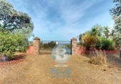 Finca rústica en venta en la España, Montoro, ref: TR416491 foto