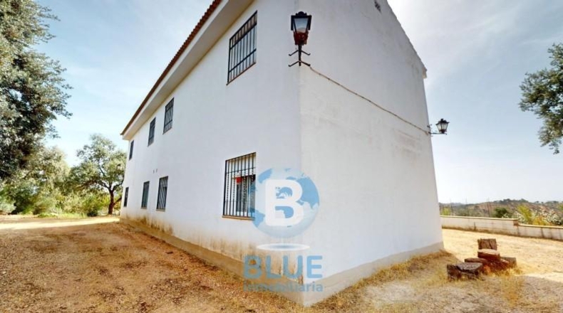 Córdoba - Montoro - 30000m2
