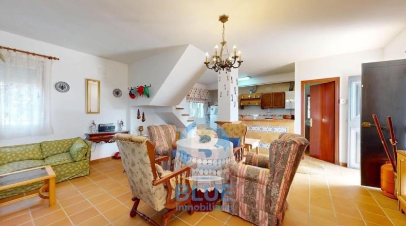 Córdoba - Montoro - 30000m2