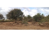 Parcela urbanizable en venta en la España, Elche, ref: TR416492 foto