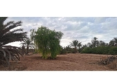 Parcela urbanizable en venta en la España, Elche, ref: TR416492 foto