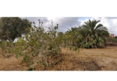 Parcela urbanizable en venta en la España, Elche, ref: TR416492 foto