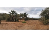 Parcela urbanizable en venta en la España, Elche, ref: TR416492 foto
