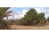 Parcela urbanizable en venta en la España, Elche, ref: TR416492 foto