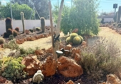Detached villa with land for sale on España, Albox, ref: TR416499 photo