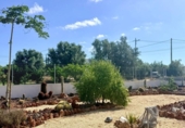 Detached villa with land for sale on España, Albox, ref: TR416499 photo