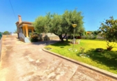 Casa de campo con terreno en venta en la España, Almassora, ref: TR416515 foto