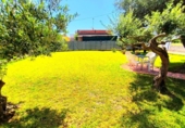 Casa de campo con terreno en venta en la España, Almassora, ref: TR416515 foto