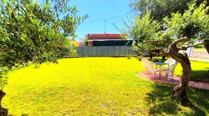 Castellón - Almassora - 1542m2