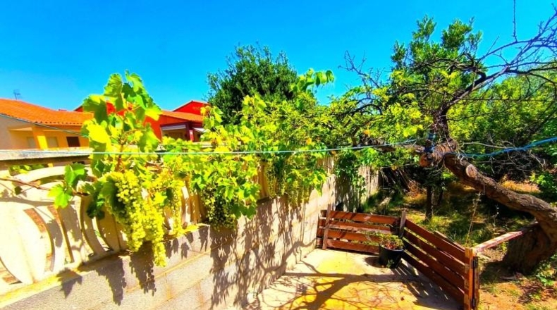Castellón - Almassora - 1542m2