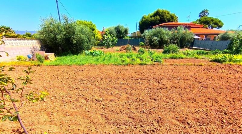 Castellón - Almassora - 1542m2