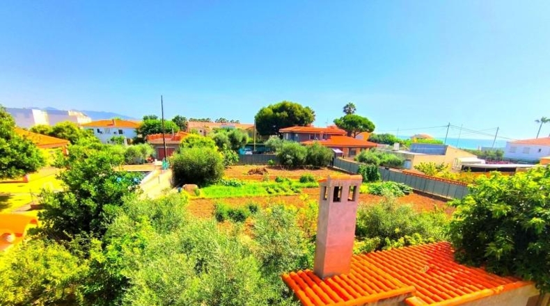 Castellón - Almassora - 1542m2