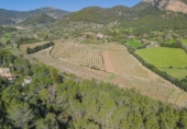Suelo urbano en venta en la España, Puigpunyent, ref: TR127881 foto