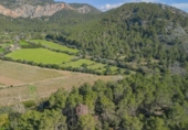 Suelo urbano en venta en la España, Puigpunyent, ref: TR127881 foto