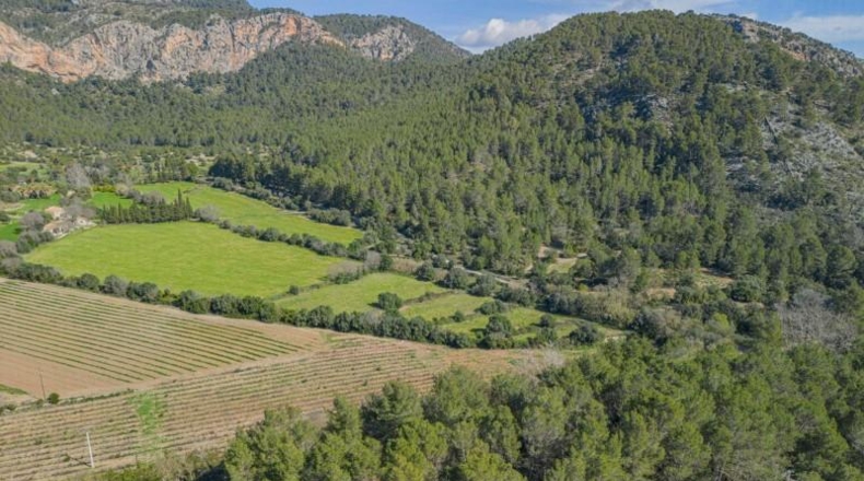 Islas Baleares - Puigpunyent - 1500m2