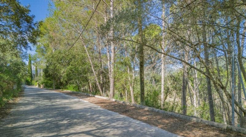 Islas Baleares - Puigpunyent - 1500m2