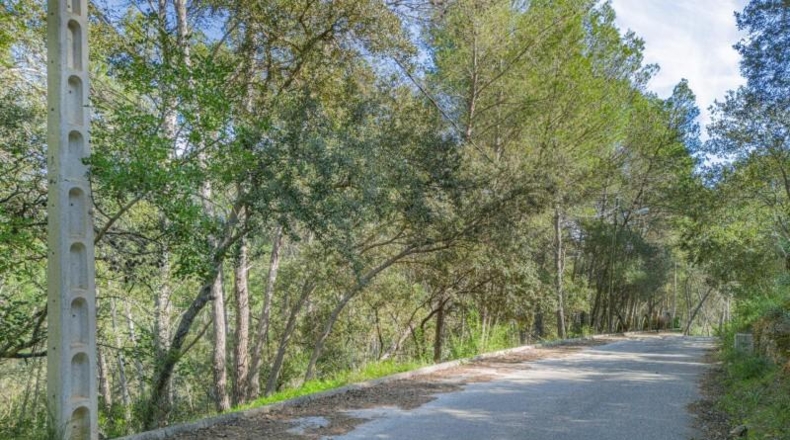 Islas Baleares - Puigpunyent - 1500m2