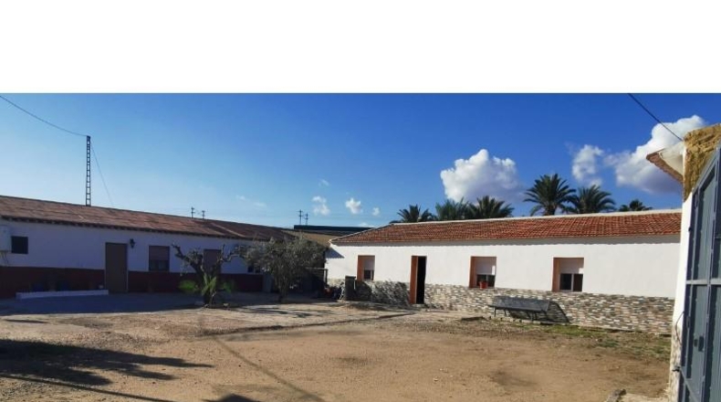 Alicante - Crevillente - 2700m2