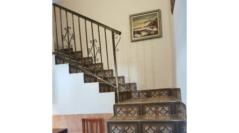 Alicante - Crevillente - 2700m2