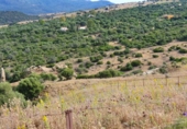 Terreny no urbanitzable en venda a la España, Casares, ref.: TR376933 foto