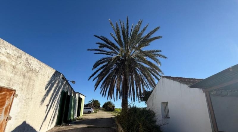 Кадис - Arcos de la Frontera - 63880m2