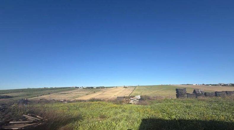 Кадис - Arcos de la Frontera - 63880m2