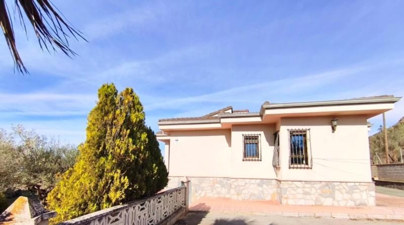 Alicante - Banyeres de Mariola - 14940m2