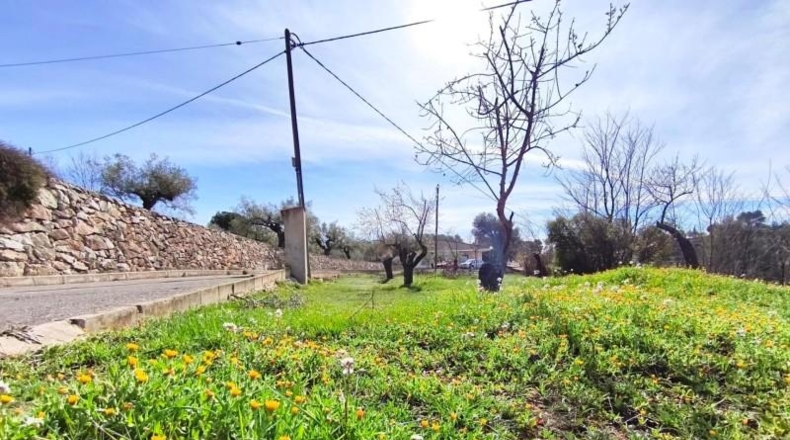 Alicante - Banyeres de Mariola - 14940m2