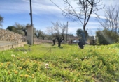Chalet independiente con terreno en venta en la España, Banyeres de Mariola, ref: TR404020 foto