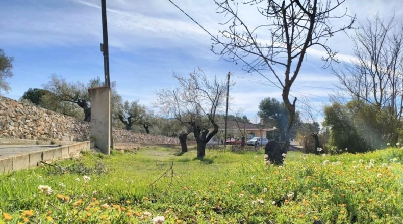 Alicante - Banyeres de Mariola - 14940m2
