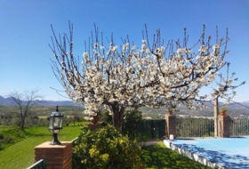 Nigüelas 305&nbsp;м²