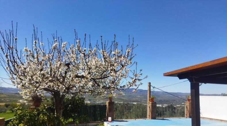 Granada - Nigüelas - 305m2