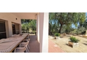 Detached villa with land for sale on España, Elche, ref: TR416545 photo