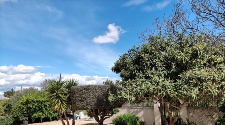 Santa Cruz de Tenerife - Buenavista del Norte - 2290m2