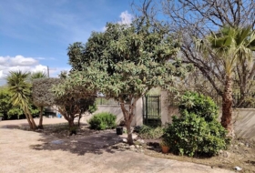 Murcia 2290&nbsp;m²