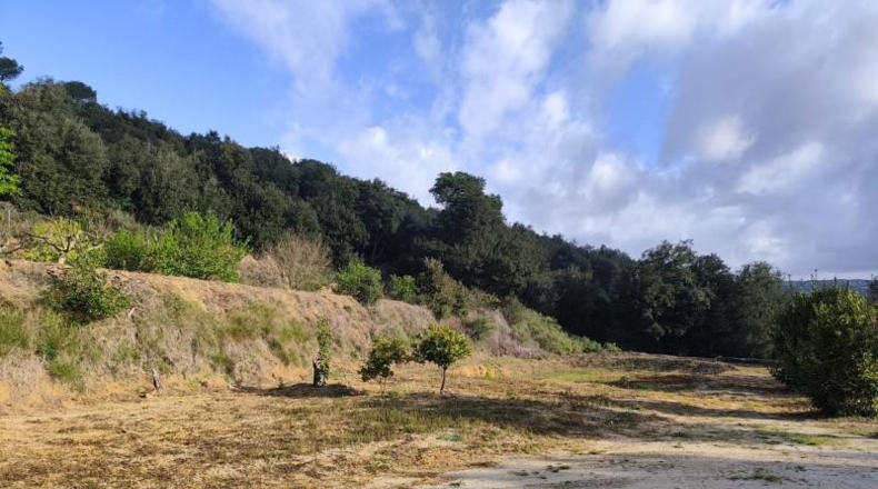 Barcelona - Dosrius - 8960m2