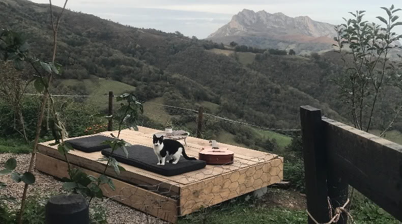 Asturias - La Foz de Morcín - 26000m2