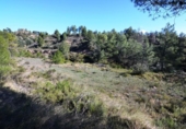 Terreno no urbanizable en venta en la España, Ascó, ref: TR416570 foto