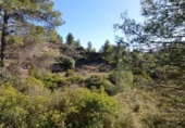 Terreno no urbanizable en venta en la España, Ascó, ref: TR416570 foto
