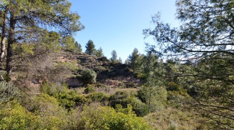 Tarragona - Ascó - 24000m2