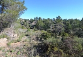 Terreno no urbanizable en venta en la España, Ascó, ref: TR416570 foto