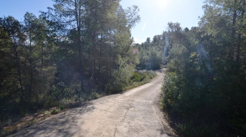 Tarragona - Ascó - 24000m2