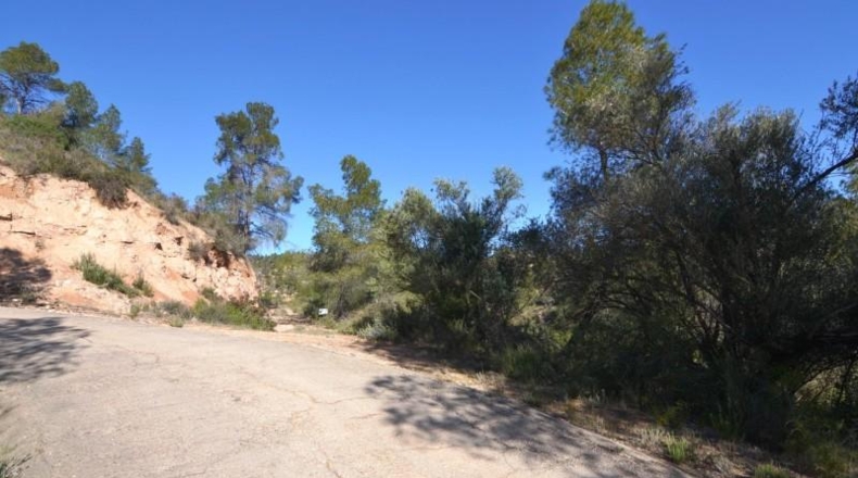 Tarragona - Ascó - 24000m2