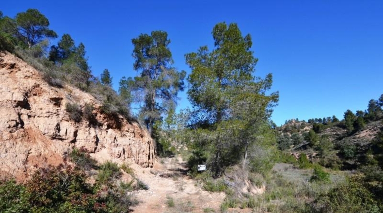 Tarragona - Ascó - 24000m2