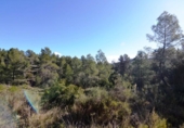 Terreno no urbanizable en venta en la España, Ascó, ref: TR416570 foto