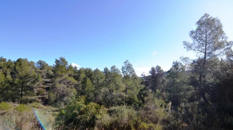 Tarragona - Ascó - 24000m2