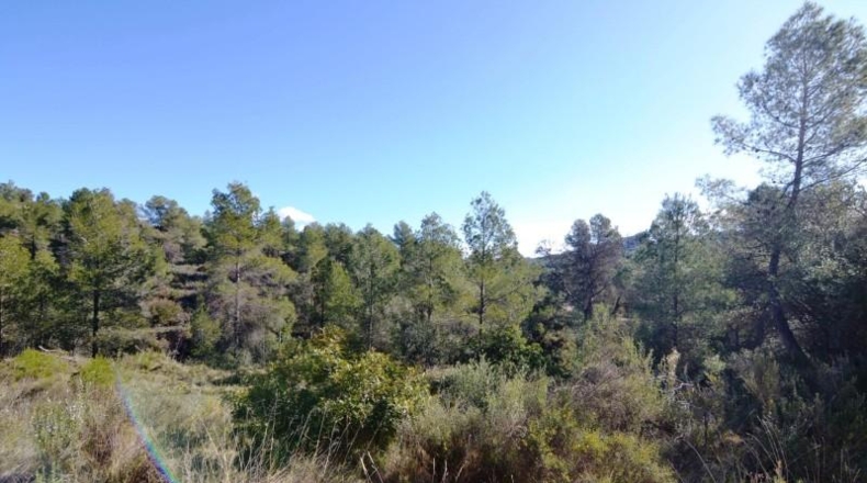 Tarragona - Ascó - 24000m2