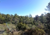 Terreno no urbanizable en venta en la España, Ascó, ref: TR416570 foto