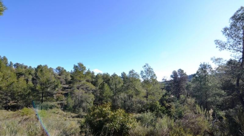 Tarragona - Ascó - 24000m2
