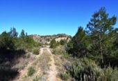 Terreno no urbanizable en venta en la España, Ascó, ref: TR416570 foto